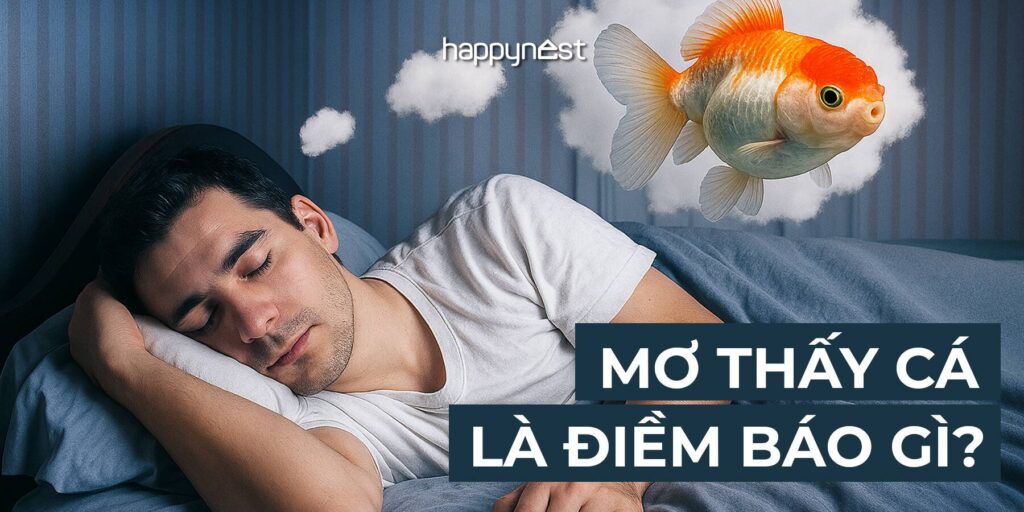 Giải mã ý nghĩa giấc mơ thấy cá chép đỏ